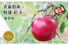 １０月発送　特選　甚八りんご紅玉３kg【青森県 平川市 マルジンサンアップル】１０月発送 贈答用 青森 青森県産 平川 りんご リンゴ 林檎 くだもの 果物 フルーツ 