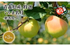 １１月発送　特選　甚八りんごぐんま名月３kg　【青森県 平川市 マルジンサンアップル】１１月発送 青森 青森県産 平川 りんご リンゴ 林檎 くだもの 果物 フルーツ 