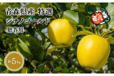 ６月発送　特選　甚八りんごシナノゴールド５kg　【青森県 平川市 マルジンサンアップル】６月発送 青森 青森県産 平川 りんご リンゴ 林檎 くだもの 果物 フルーツ 
