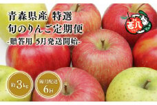 【5月発送開始】隔月配送　定期便６回　特選　甚八りんご　３kg　【青森県 平川市 マルジンサンアップル】1月 3月 5月 7月 9月 11月贈答用 青森 青森県産 平川 りんご リンゴ 林檎 くだもの 果物 フルーツ