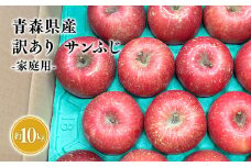 １１月～３月　発送【訳あり】家庭用サンふじ約10㎏【サンふじ・りんご・青森・平川・訳あり・家庭用・原田青果・１１月・１２月・１月・2月・３月・１０kg】