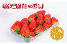 青森県産 いちご よつぼし 約200g×4パック (パック詰め)【青森県 平川市 しあわせj-Farm】いちご イチゴ 苺 くだもの 果物 フルーツ 希少品種 希少 
