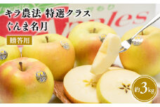 ≪11～12月発送≫青森県産 キラ農法 贈答用 特選クラス ぐんま名月 約3kg【青森県 平川市 夢ファクトリー】 完熟りんご 