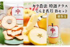 11～12月 贈答用 キラ農法 特選クラス 完熟りんご ぐんま名月Bセット 【青森りんご・平川市広船産・11月・12月】