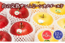 ≪12月発送≫山の完熟サンふじ・シナノゴールド約5kg 【青森県 平川市 吹田りんご園】シナノ ゴールド サンふじ ふじ りんご リンゴ 果物 くだもの フルーツ 平川市産 完熟りんご 