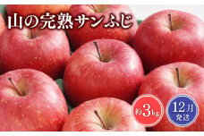 ≪12月発送≫山の完熟サンふじ約3kg 　 【青森県 平川市 吹田りんご園】サンふじ ふじ りんご リンゴ アップル 果物 くだもの フルーツ 平川市産 完熟りんご 
