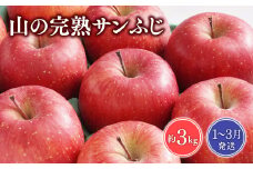 ≪1~3月発送≫山の完熟サンふじ約3kg  【青森県 平川市 吹田りんご園】サンふじ ふじ りんご リンゴ アップル 果物 くだもの フルーツ 平川市産 完熟りんご 