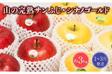 ≪1~3月発送≫山の完熟サンふじ・シナノゴールド約3kg 【青森県 平川市 吹田りんご園】シナノ ゴールド サンふじ ふじ りんご リンゴ 果物 くだもの フルーツ 平川市産 完熟りんご 