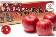 ≪12月発送 ≫ 100年の歴史 贈答規格サンふじ 約3kg【田中農園 青森りんご 平川市産】12月発送  青森 平川 りんご リンゴ 林檎 フルーツ 