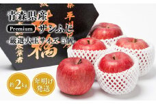 ≪年明け発送≫青森県産 premiumサンふじ 5個（約2kg） 厳選大玉 【水木農園 青森りんご 平川市産】1月発送 青森 平川 りんご リンゴ 林檎 フルーツ 特選 大玉 