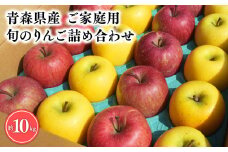 11月～4月発送 【訳あり】旬のりんご詰め合わせ10㎏【宮川商店 青森りんご 平川市産】11月～4月発送 青森 平川 りんご リンゴ 林檎 フルーツ 