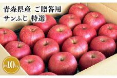 11月～4月発送 【特選】サンふじ10㎏【宮川商店 青森りんご 平川市産】11月～4月発送 青森 平川 りんご リンゴ 林檎 フルーツ 
