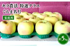 ≪11～12月発送≫青森県産 キラ農法 家庭用 ぐんま名月 約5kg【青森県 平川市 夢ファクトリー】 完熟りんご 