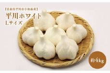 2025年産　出荷予定：7月下旬～2/28【青森県平川市小和森産】平川ホワイト Lサイズ約4kg ホワイト六片種 ホワイト6片種 にんにく ニンニク ガーリック 青森県 平川市 小和森産 小山内組 野菜 白にんにく 白ニンニク 平川市産 