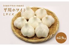 2025年産　出荷予定：7月下旬～2/28【青森県平川市小和森産】平川ホワイト Lサイズ約2.5kg ホワイト六片種 ホワイト6片種 にんにく ニンニク ガーリック 青森県 平川市 小和森産 小山内組 野菜 白にんにく 白ニンニク 平川市産 
