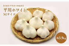 2025年産　出荷予定：7月下旬～2/28【青森県平川市小和森産】平川ホワイト Mサイズ 約3.5kg ホワイト六片種 ホワイト6片種 にんにく ニンニク ガーリック 青森県 平川市 小和森産 小山内組 野菜 白にんにく 白ニンニク 平川市産 