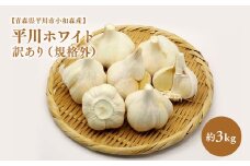 2025年産　出荷予定：7月下旬～2/28【青森県平川市小和森産】平川ホワイト 訳あり（規格外）約3kg ホワイト六片種 ホワイト6片種 にんにく ニンニク ガーリック 青森県 平川市 小和森産 小山内組 野菜 白にんにく 白ニンニク 規格外 わけあり ワケあり ワケアリ 不揃い 不揃い品 平川市産