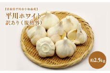 2025年産　出荷予定：7月下旬～2/28【青森県平川市小和森産】平川ホワイト 訳あり（規格外）約2.5kg ホワイト六片種 ホワイト6片種 にんにく ニンニク ガーリック 青森県 平川市 小和森産 小山内組 野菜 白にんにく 白ニンニク 規格外 わけあり ワケあり ワケアリ 不揃い 不揃い品 平川市産