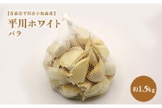 2025年産　出荷予定：7月下旬～2/28【青森県平川市小和森産】平川ホワイト バラ 約1.5kg ホワイト六片種 ホワイト6片種 にんにく ニンニク ガーリック 青森県 平川市 小和森産 小山内組 野菜 白にんにく 白ニンニク バラ詰め ばら詰め 平川市産 