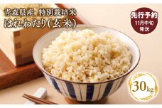 ≪令和7年産 先行予約≫11月中旬よりお届け! 　特別栽培米 はれわたり玄米30kg(10㎏×3袋)【青森県 平川市】先行予約 米 お米 玄米 青森県産 産地直送 おにぎり 朝ご飯 冷めてもおいしい ご飯  コメ こめ 白米 ごはん ブランド米 特A 特A米 お取り寄せ グルメ