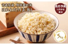 ≪令和7年産 先行予約≫11月中旬よりお届け! 　特別栽培米 はれわたり玄米5kg【青森県 平川市】先行予約 米 お米 玄米 青森県産 産地直送 おにぎり 朝ご飯 冷めてもおいしい ご飯  コメ こめ 白米 ごはん ブランド米 特A 特A米 お取り寄せ グルメ