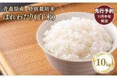 ≪令和7年産 先行予約≫11月中旬よりお届け! 　特別栽培米 はれわたり白米10kg(5㎏×2袋)【青森県 平川市】先行予約 米 お米 精米 青森県産 産地直送 おにぎり 朝ご飯 冷めてもおいしい ご飯  コメ こめ 白米 ごはん ブランド米 特A 特A米 お取り寄せ グルメ
