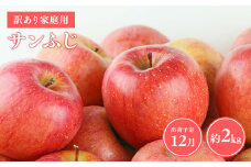 ≪令和7年産先行受付≫12月発送! 訳あり 家庭用サンふじ約2kg【青森県 平川市 山内ファーム】家庭用 平川市産 青森りんご りんご リンゴ 林檎 ふじ 訳あり 家庭用 お取り寄せ 先行予約 果物 くだもの フルーツ 