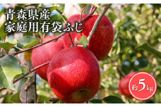 ≪5月～6月発送≫【訳あり】家庭用 有袋ふじ5kg【青森県 平川市 丸勝木村商店】平川市産 青森りんご りんご リンゴ 林檎 ふじ 訳あり 家庭 わけあり お取り寄せ 先行予約 果物 くだもの フルーツ 