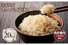 ≪令和7年産 先行予約≫11月中旬よりお届け! 青森県平川市産まっしぐら20kg(玄米)【青森県 平川市】先行予約 米 お米 青森県産 産地直送 おにぎり 朝ご飯 冷めてもおいしい ご飯  コメ こめ ごはん ブランド米 特A 特A米 お取り寄せ グルメ