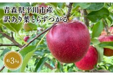≪8月下旬頃より発送≫青森県産 訳あり つがる 約3kg【青森県 平川市 なるみ農園】家庭用 訳アリ 青森 青森県産 平川 りんご リンゴ 林檎 くだもの 果物 フルーツ 