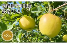 ≪9月中旬頃より発送≫青森県産 訳あり トキ 約3kg【青森県 平川市 なるみ農園】家庭用 訳アリ 青森 青森県産 平川 りんご リンゴ 林檎 くだもの 果物 フルーツ 