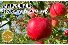 ≪10月中旬頃より発送≫青森県産 訳あり サンジョナゴールド 約3kg【青森県 平川市 なるみ農園】家庭用 訳アリ 青森 青森県産 平川 りんご リンゴ 林檎 くだもの 果物 フルーツ 