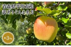 ≪10月下旬頃より発送≫青森県産 訳あり ぐんま名月 約3kg【青森県 平川市 なるみ農園】家庭用 訳アリ 青森 青森県産 平川 りんご リンゴ 林檎 くだもの 果物 フルーツ 