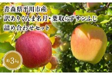 ≪12月上旬頃より発送≫青森県産 訳あり ぐんま名月・葉とらずサンふじ 詰め合わせセット 約3kg【青森県 平川市 なるみ農園】家庭用 訳アリ 青森 青森県産 平川 りんご リンゴ 林檎 くだもの 果物 フルーツ