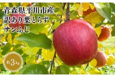 ≪12月中旬頃より発送≫青森県産 訳あり 葉取らずサンふじ 約3kg【青森県 平川市 なるみ農園】家庭用 訳アリ 青森 青森県産 平川 りんご リンゴ 林檎 くだもの 果物 フルーツ 