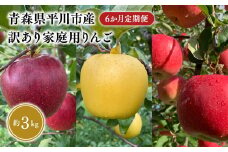 ≪8月下旬頃より発送≫青森県産 訳あり家庭用りんご 6か月定期便 約3kg【青森県 平川市 なるみ農園】家庭用 訳アリ 青森 青森県産 平川 りんご リンゴ 林檎 くだもの 果物 フルーツ 