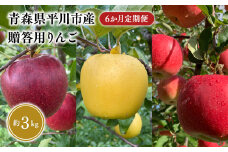 ≪8月下旬頃より発送≫青森県産 贈答用りんご 6か月定期便 約3kg【青森県 平川市 なるみ農園】贈答 贈答規格 青森 青森県産 平川 りんご リンゴ 林檎 くだもの 果物 フルーツ 