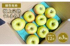 ≪令和7年産先行受付≫贈答用 樹上完熟ぐんま名月約3㎏【青森県 平川市 山内ファーム】贈答 贈答規格 平川市産 青森りんご りんご リンゴ 林檎 完熟 群馬名月 名月 お取り寄せ 先行予約 果物 くだもの フルーツ 