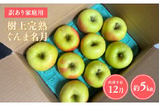 ≪令和7年産先行受付≫家庭用 樹上完熟ぐんま名月約5㎏【青森県 平川市 山内ファーム】家庭用 平川市産 青森りんご りんご リンゴ 林檎 完熟 群馬名月 名月 お取り寄せ 先行予約 果物 くだもの フルーツ 