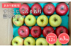 ≪令和7年産先行受付≫家庭用 サンふじ/ぐんま名月 詰め合わせ約3㎏【青森県 平川市 山内ファーム】青森りんご りんご リンゴ 林檎 ふじ サンフジ 群馬名月 お取り寄せ 先行予約 果物 くだもの フルーツ 