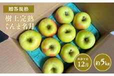 ≪令和7年産先行受付≫贈答用 樹上完熟ぐんま名月約5㎏【青森県 平川市 山内ファーム】贈答 贈答規格 平川市産 青森りんご りんご リンゴ 林檎 完熟 群馬名月 名月 お取り寄せ 先行予約 果物 くだもの フルーツ 