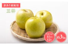 ≪令和7年産先行受付≫家庭用王林約3kg【青森県 平川市 山内ファーム】家庭用 平川市産 青森りんご りんご リンゴ 林檎 完熟 おうりん オウリン お取り寄せ 先行予約 果物 くだもの フルーツ 