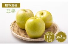 ≪令和7年産先行受付≫贈答用王林約2kg【青森県 平川市 山内ファーム】贈答 贈答規格 平川市産 青森りんご りんご リンゴ 林檎 完熟 群馬名月 名月 お取り寄せ 先行予約 果物 くだもの フルーツ 