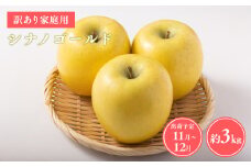 ≪令和7年産先行受付≫家庭用シナノゴールド約3kg【青森県 平川市 山内ファーム】家庭用 平川市産 青森りんご りんご リンゴ 林檎 シナノ ゴールド お取り寄せ 先行予約 果物 くだもの フルーツ 