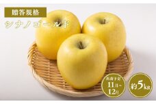 ≪令和7年産先行受付≫贈答用シナノゴールド約5kg【青森県 平川市 山内ファーム】贈答 贈答規格 平川市産 青森りんご りんご リンゴ 林檎 シナノ ゴールド お取り寄せ 先行予約 果物 くだもの フルーツ 