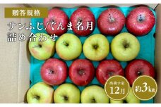 ≪令和7年産先行受付≫贈答用 サンふじ/ぐんま名月 詰め合わせ約3㎏【青森県 平川市 山内ファーム】贈答 青森りんご りんご リンゴ 林檎 サンフジ ふじ 群馬名月 お取り寄せ 先行予約 果物 くだもの フルーツ 