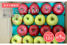 ≪令和7年産先行受付≫家庭用 サンふじ/ぐんま名月 詰め合わせ約5㎏【青森県 平川市 山内ファーム】青森りんご りんご リンゴ 林檎 ふじ サンフジ 群馬名月 お取り寄せ 先行予約 果物 くだもの フルーツ 