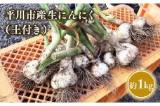 ≪6月下旬～順次発送≫青森県 平川市産 土付き生にんにく 約1kg【青森県 平川市 しあわせj-Farm】ニンニク 白ニンニク 生にんにく 青森県産 青森県産にんにく 野菜 やさい ガーリック 