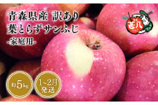 ≪選べる配送月≫２月発送 訳あり 家庭用 甚八りんご葉とらずサンふじ5kg 【青森県 平川市 マルジンサンアップル】２月発送 青森 青森県産 平川 りんご リンゴ 林檎 くだもの 果物 フルーツ 