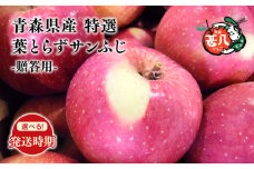 ≪選べる配送月≫２月発送 特選 甚八りんご 葉とらずサンふじ３kg 【青森県 平川市 マルジンサンアップル】２月発送 青森 青森県産 平川 りんご リンゴ 林檎 くだもの 果物 フルーツ 
